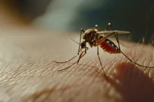 Residential Yard Mosquito Control Spray Milton