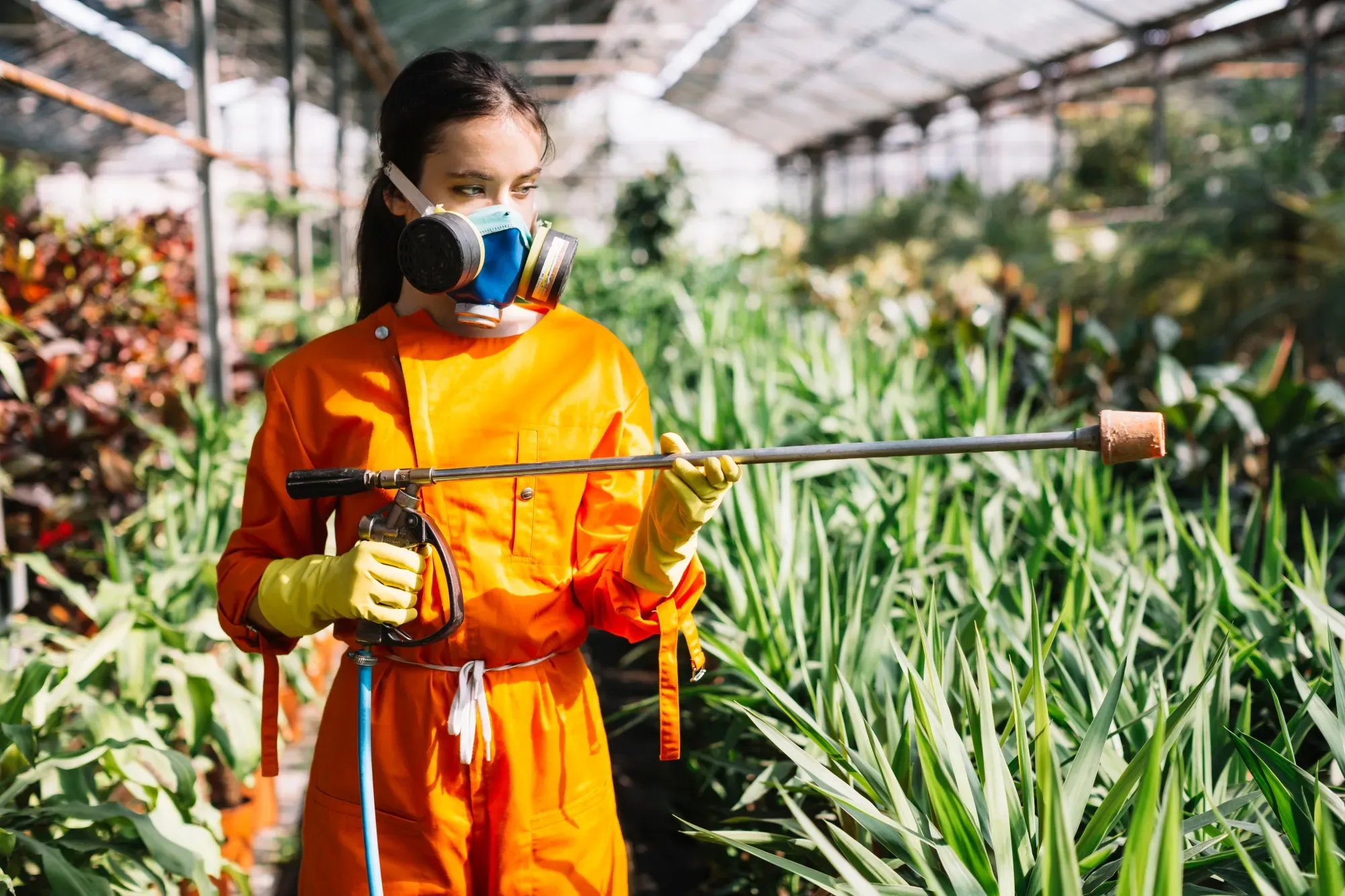 Eco-safe pest control treatments and sprays in GTA